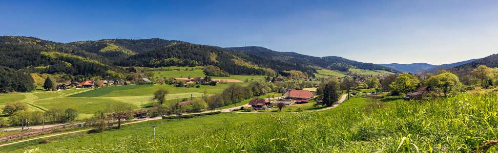 Segway_Schwarzwald