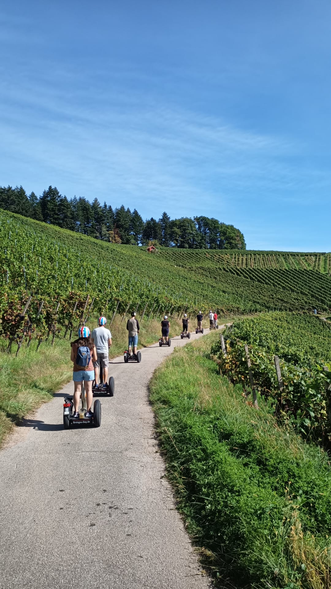 Teilnehmer genießen auf einer Segway Tour im Breisgau den Sonnenuntergang über den Rebhängen
